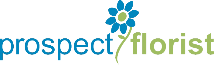 Peoria, Il Florist - Project Red Light [book] (705x215)