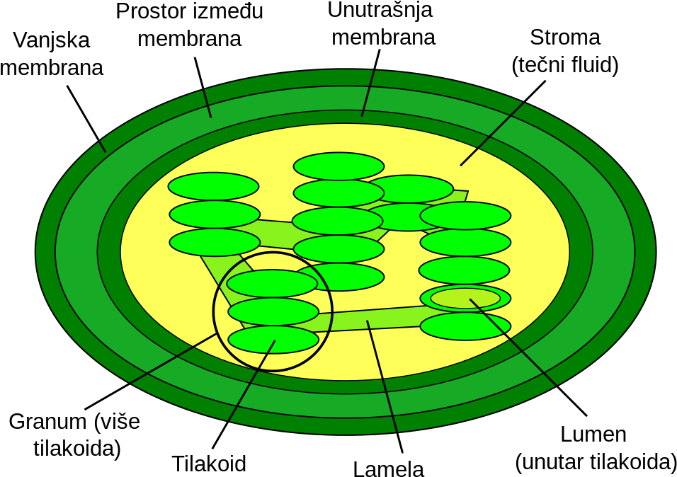 Photosynthesis And Cellular Respiration Cycle For Kids - Inner Membrane Of Chloroplast (1024x724)