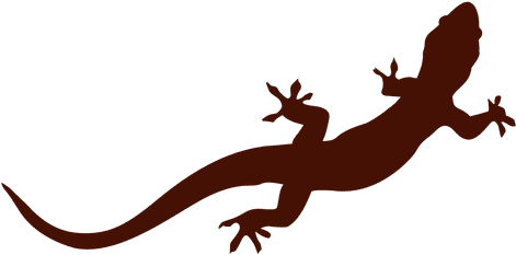 Newt Clipart Iguana - Exclusive Designs - 4 X 6 - Spectrum Collection - Colorful (512x512)