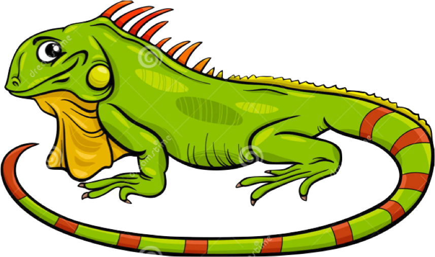 Green Iguana Clipart Lizard - Cartoon Iguana (1300x864)