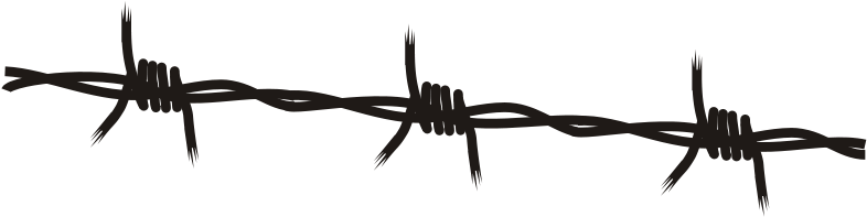 Wire Download Png - Barb Wire Free Vector (800x198)