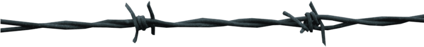 Free Png Barbwire Png Images Transparent - Barbed Wire (850x566)