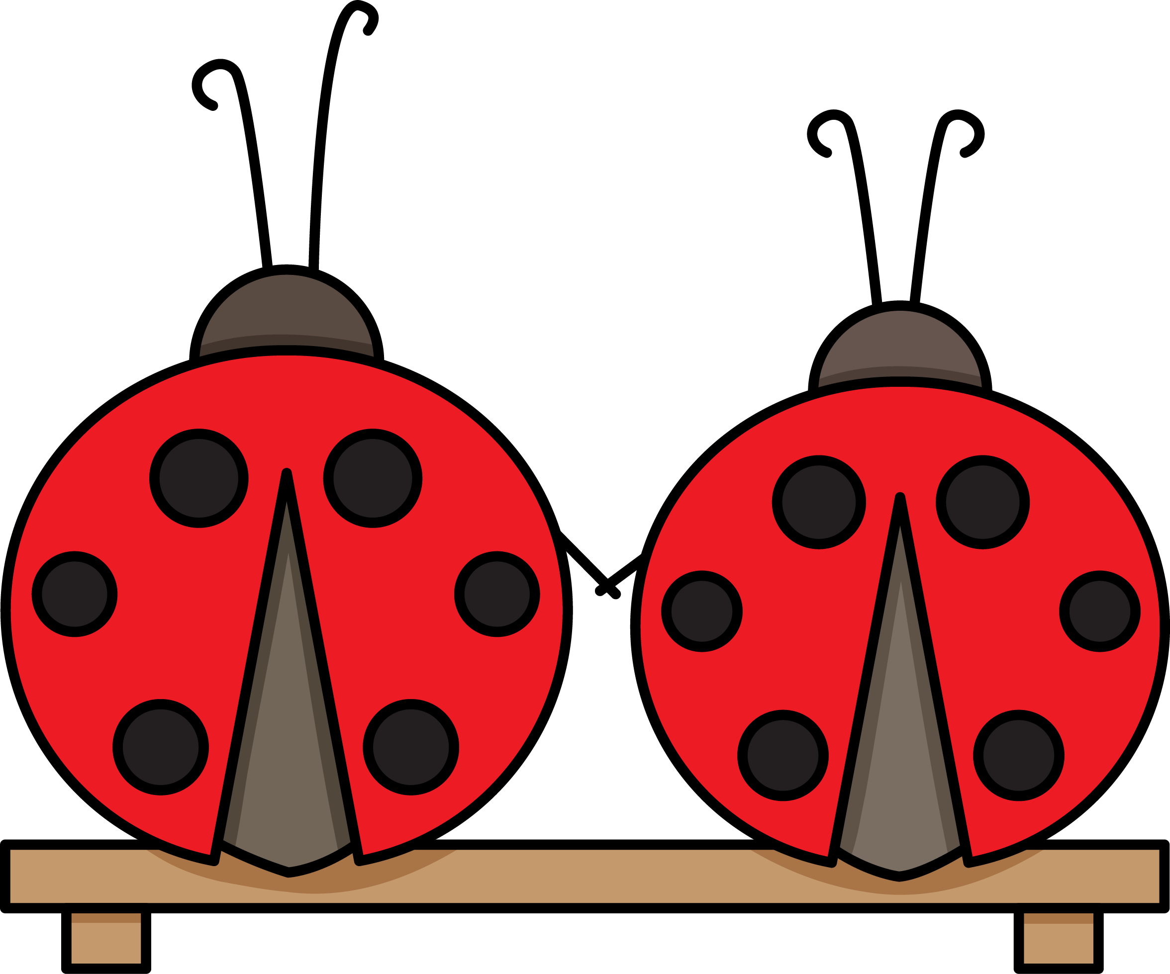 Ladybug Clipart Teacher - Ladybird Beetle (2352x1959)
