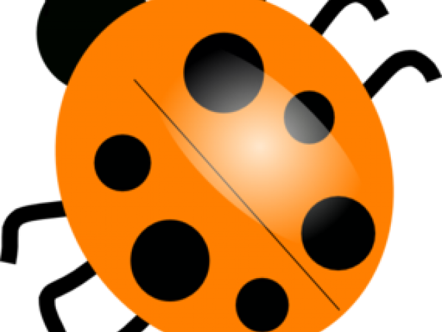 Ladybug Clipart Colored - Ladybug Clipart Colored (640x480)