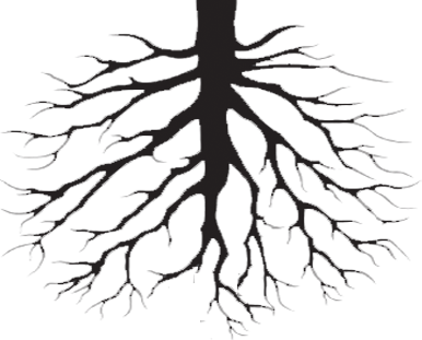 Roots The Nutrient Vacuum Of The Plant - Biffy Clyro Opposites Vinyl Record (386x311)