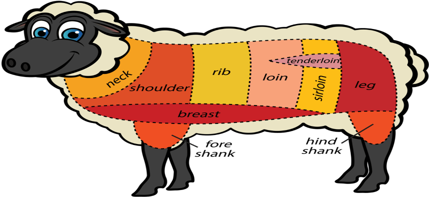 Cuts Of Meat On A Lamb (860x400)