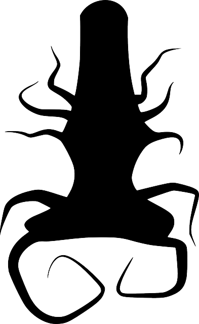 Black, Silhouette, Tree, Roots, Plant, Thing, Root - Akar Vector (393x640)
