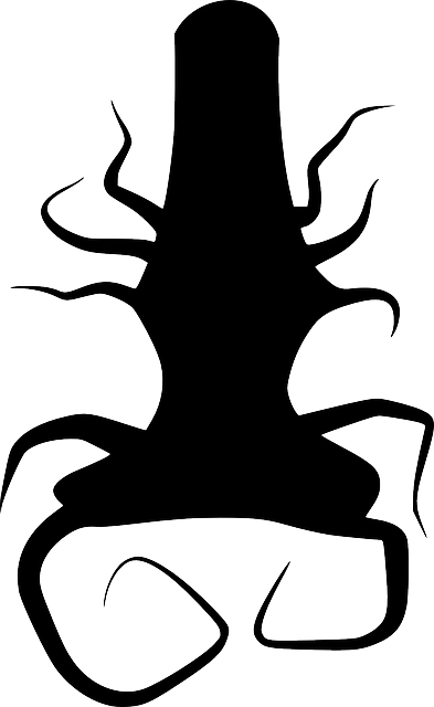 Black, Silhouette, Tree, Roots, Plant, Thing, Root - Akar Vector ...