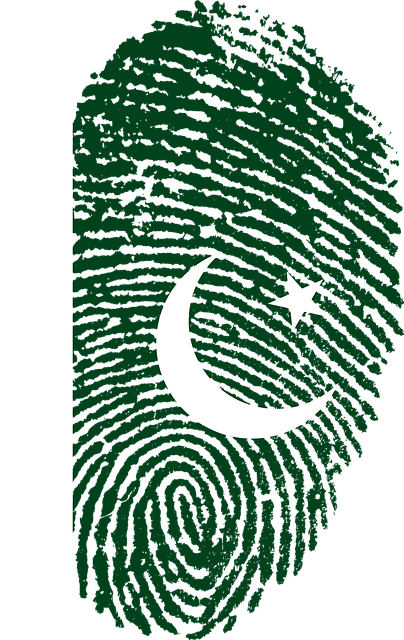 Happy Independance Day - Pakistan Flag Fingerprint (404x640)
