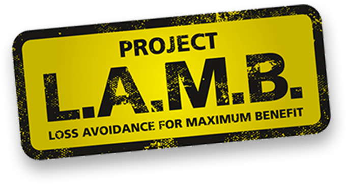 Project Lamb - Graphics (682x361)