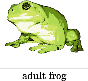 Picture - Frog (350x378)