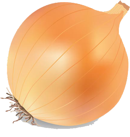 Onion Vector Png Transparent Image Png Mart Rh Pngmart - Onion Vector Png (455x455)