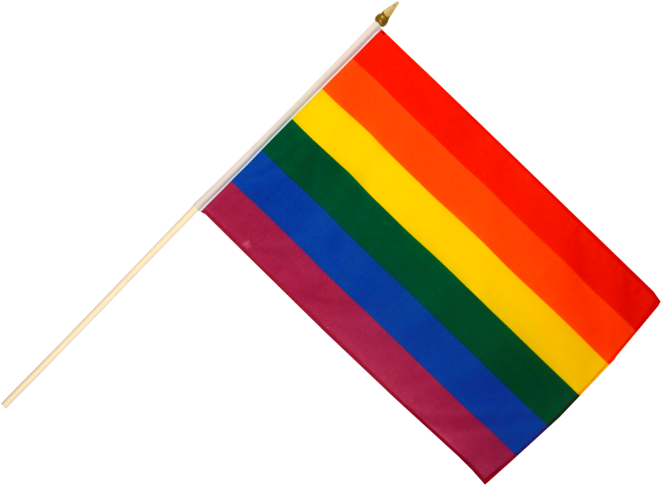 Rainbow Flag Png - Gay Pride Flag Png (1000x785)