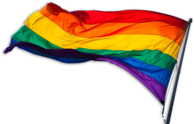 Colorful Rainbow Flag Png Png Images - Rainbow Flag Transparent Background (400x302)