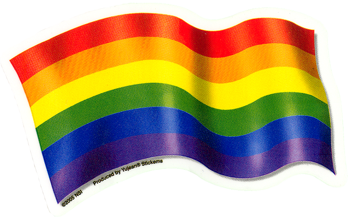 Pride Rainbow Flag - Lgbt Rainbow Flag Png (700x436)