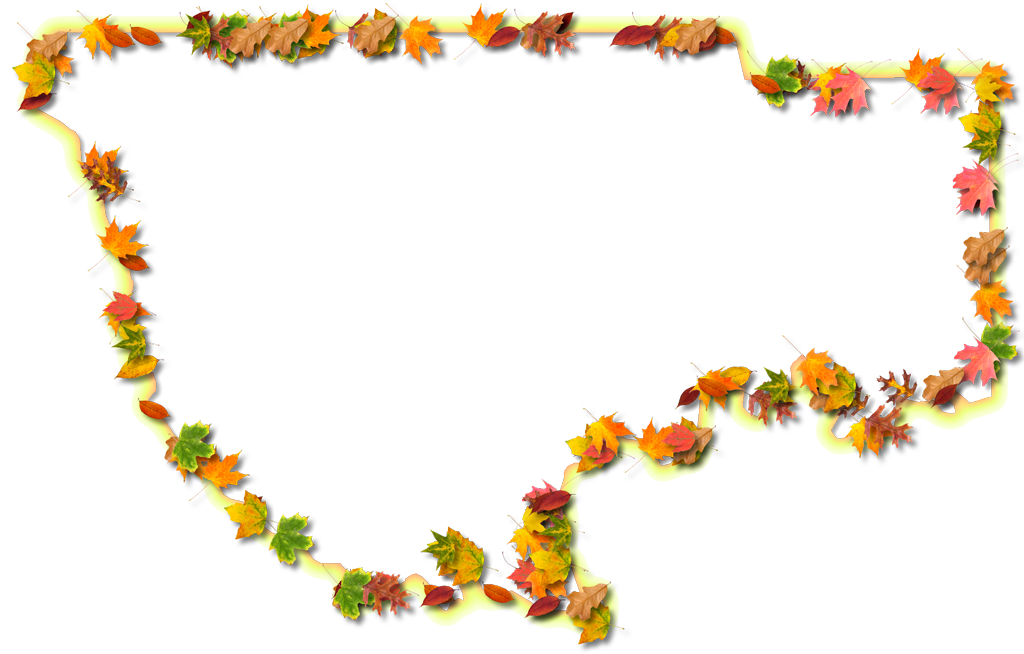 A Yellow And Orange Outline Map Of Wakulla With Fall - Floral Design (1024x654)