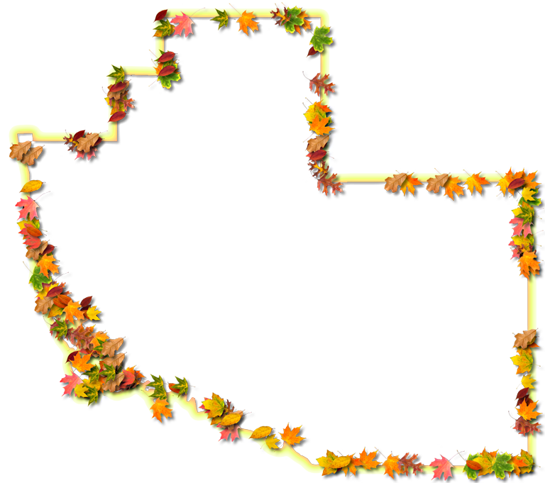 A Yellow And Orange Outline Map Of Collier With Fall - Floral Design (768x681)