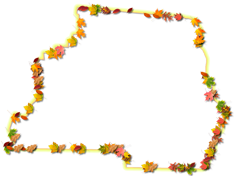 A Yellow And Orange Outline Map Of Madison With Fall - Floral Design (768x578)