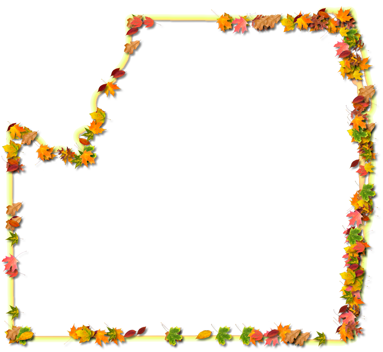 A Yellow And Orange Outline Map Of Palm Beach With - Floral Design (768x707)