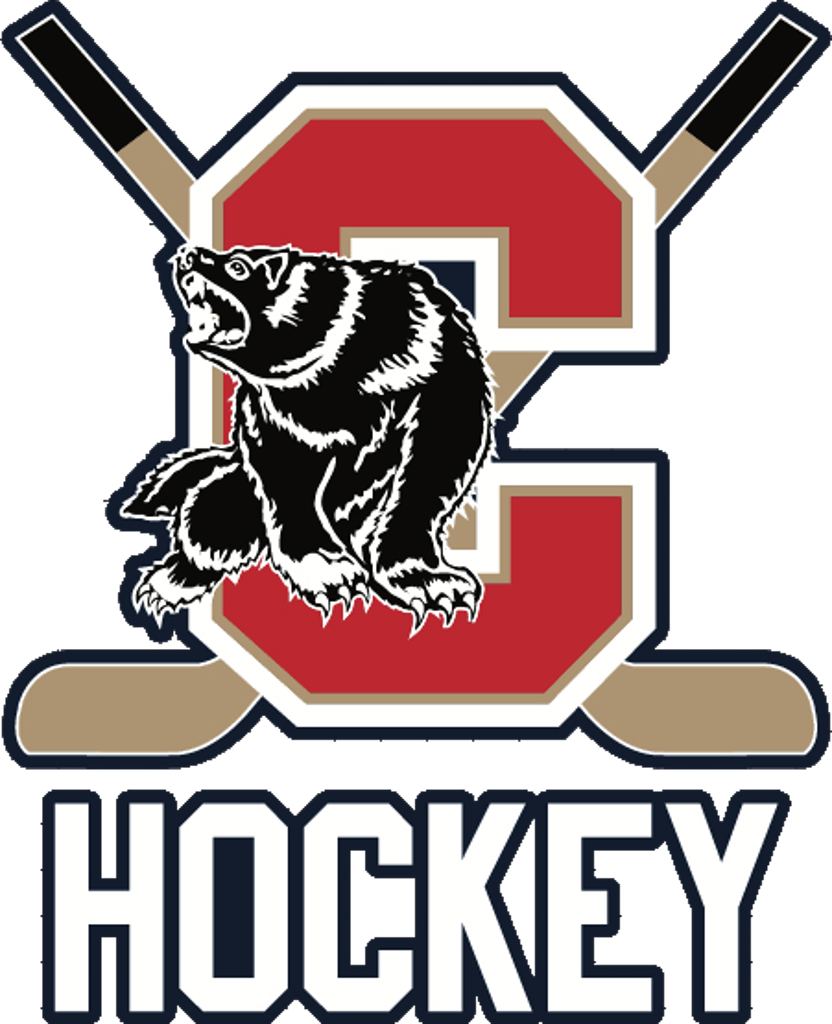 Chaparral High School Hockey (832x1024)