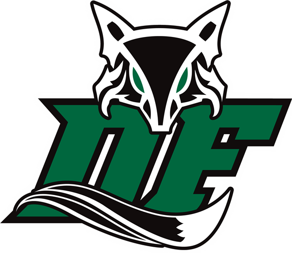 2016/2017 Varsity Team - Dutch Fork High School Logo (600x520)