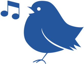 Rockin' Robins - Mountain Bluebird (480x360)