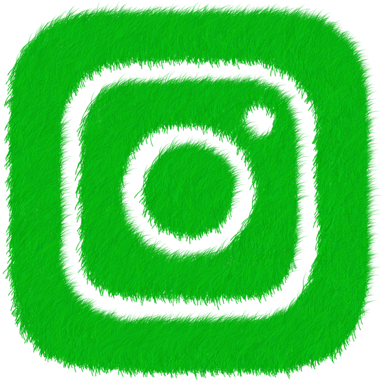 Redes Sociais Png Verde (640x640)