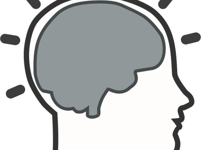 Mind Clipart Metacognition - Brain Clipart Png (640x480)