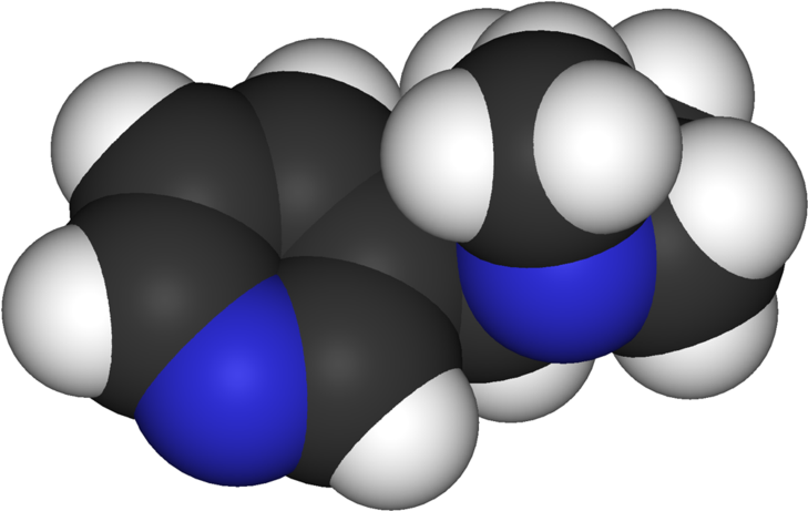 Ameliorate Mild Cognitive Impairment - Nicotine (800x532)
