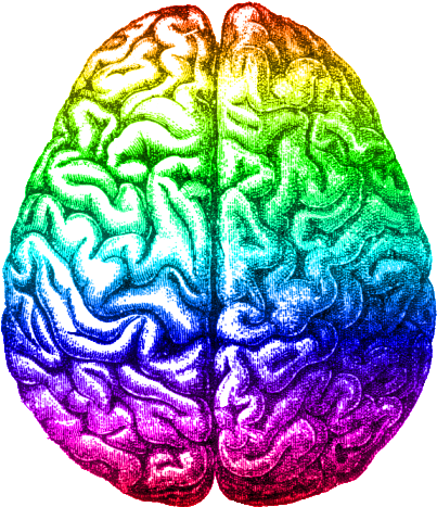Tag - Mnd - Left And Right Brain Gif (420x480)