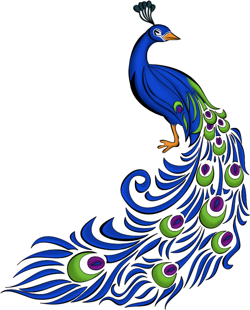 Peacock Feather Clip Art Png - Peacock Drawing (1024x1365)