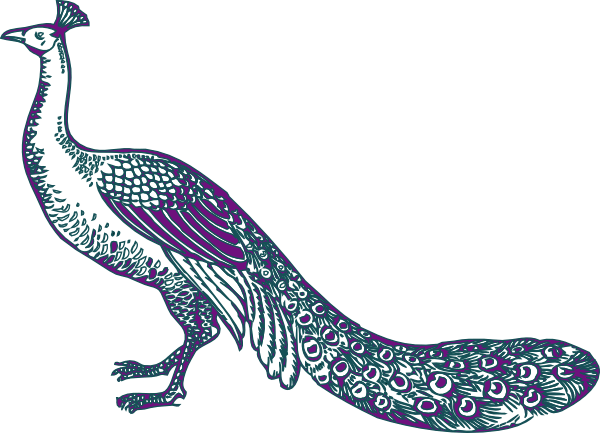 Free Peacock Clipart - Wedding Peacock Clip Art (600x433)