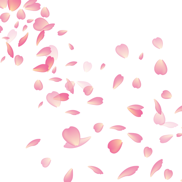 Cherry Blossom Flower Vector Png, Cherry Blossom, Flower - Cherry Blossom Petals Transparent (640x640)