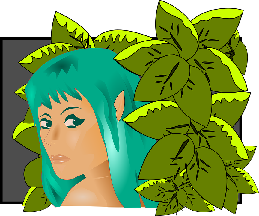 Collection Of Rain Forest Clipart - Elfenwurl: Plus The Kidnapped Unicorn (864x720)