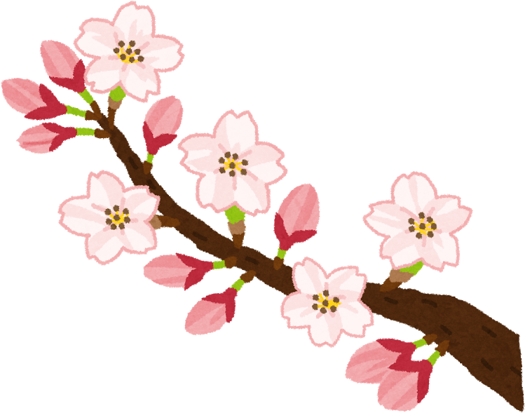 桜 が 咲く イラスト (800x642)