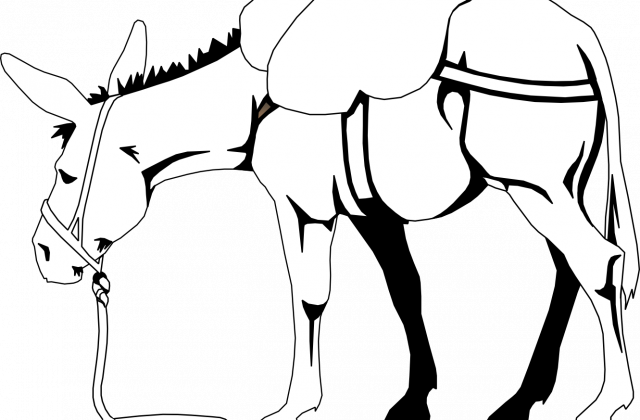 Clipart Donkey - Nasreddin (640x420)