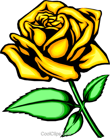 Yellow Rose Royalty Free Vector Clip Art Illustration - Rose Flower In Cartoon (383x480)