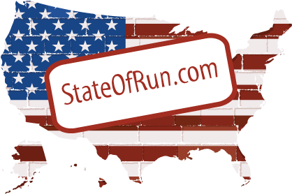 Stati Uniti Cartina Stilizzata (445x295)