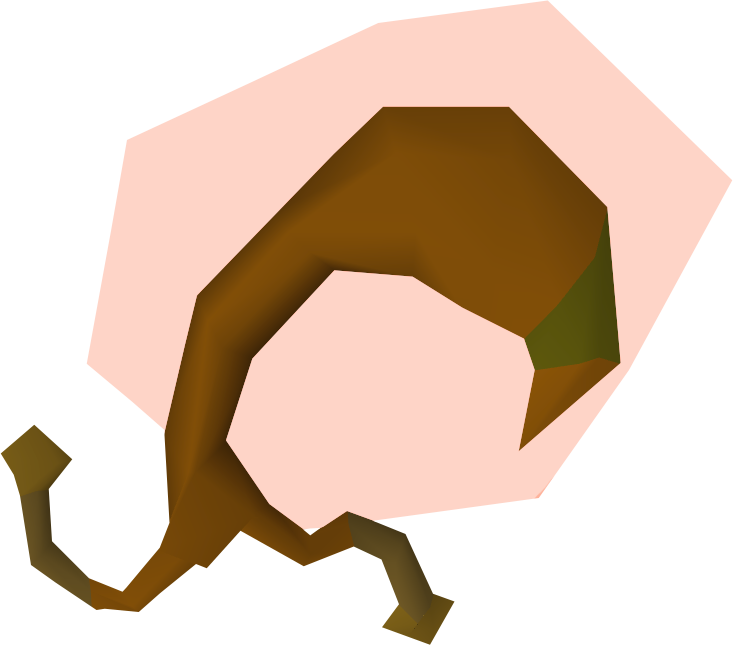 Lean Snail Meat Detail - Wiki (733x645)