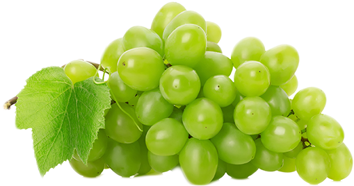 Grape Png Transparent Images - Transparent Background Green Grape Png (515x285)