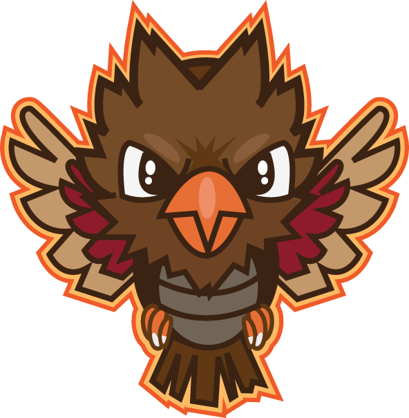 Owl Beak Carnivora Clip Art - Accipitriformes (592x605)