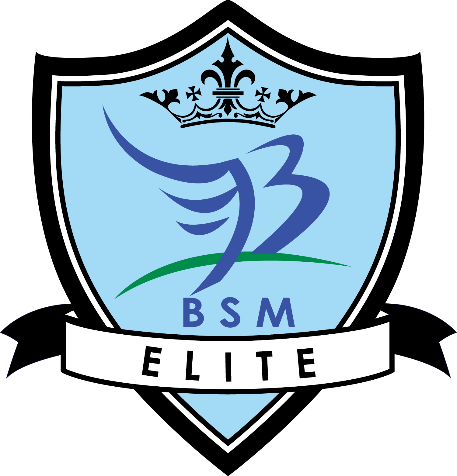 Bsm Elite (1502x1566)