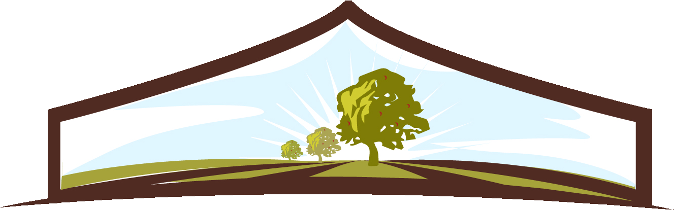 Your Nursery Care & Garden Experts - Your Nursery Care & Garden Experts (1390x992)