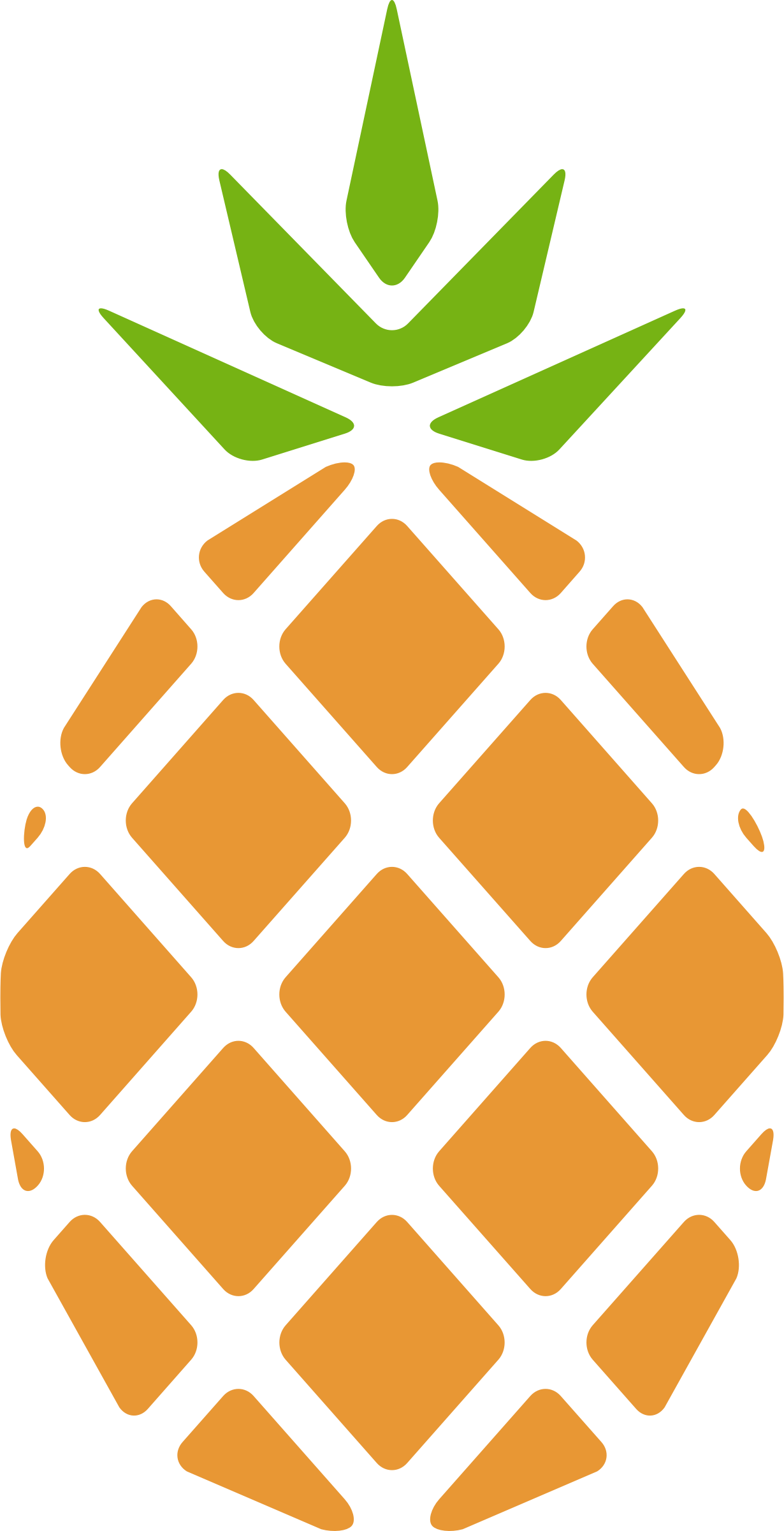 Big Image - Tropical Fruit Clipart (1230x2400)