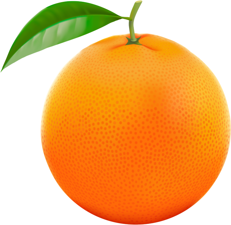 New Images 2018 Orange Clipart Transparent Background - Orange Psd (800x795)