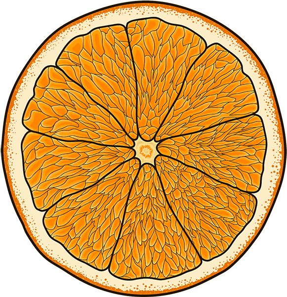 A Fest Of Fruit For The Best Of Fruit - A Fest Of Fruit For The Best Of Fruit (600x600)
