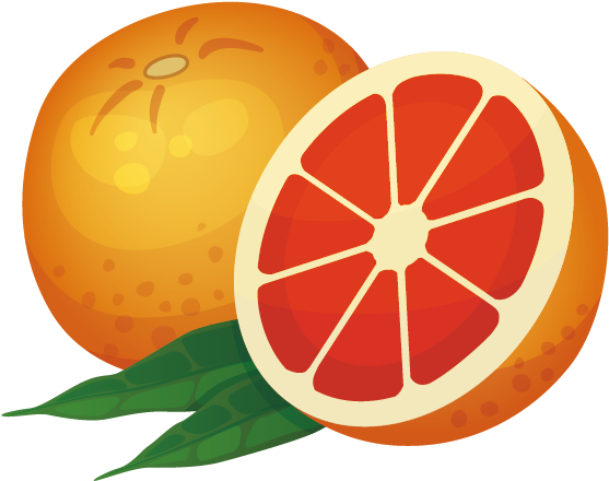 Orange Icon - Vector Grapefruit - Drawing (842x596)