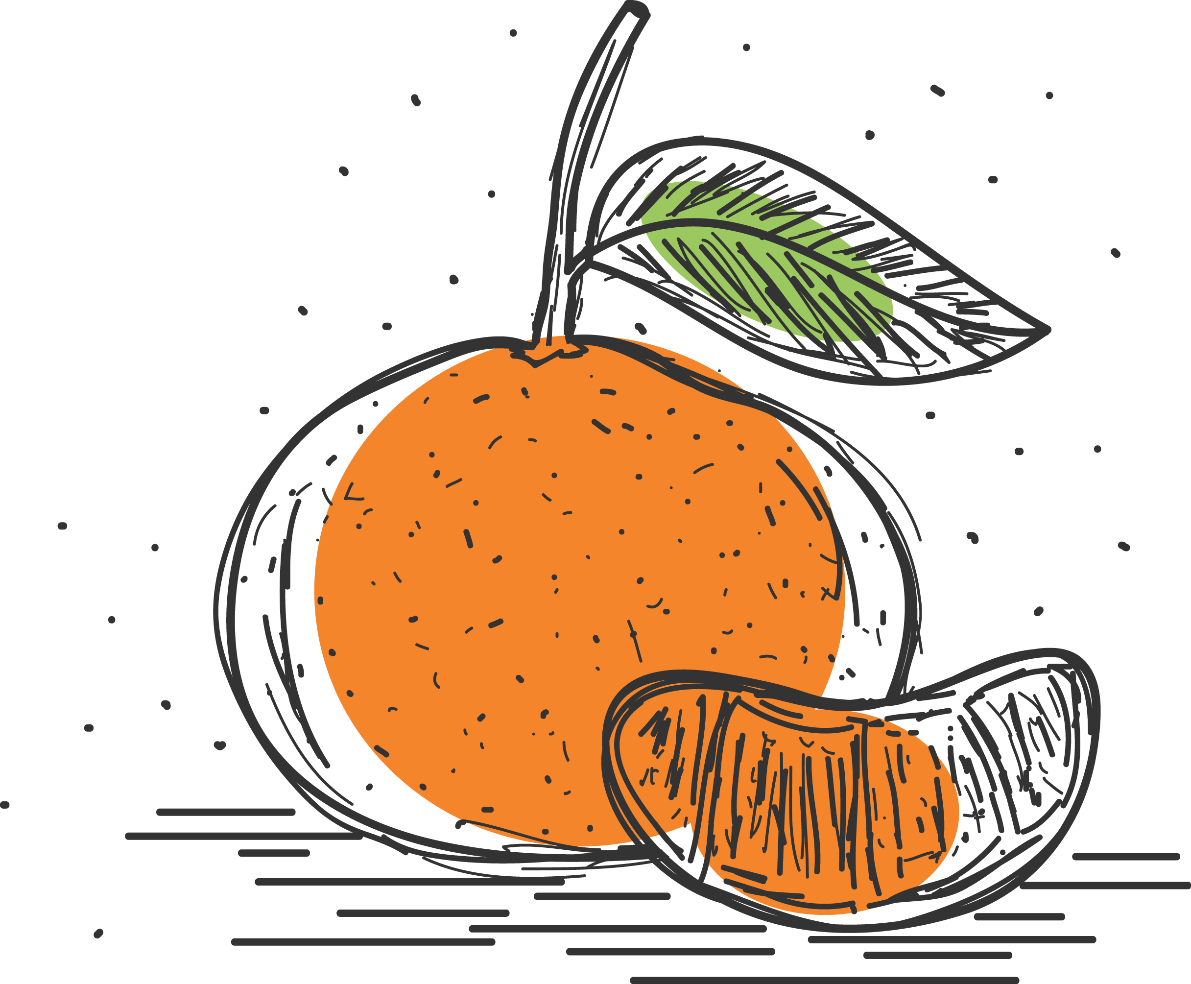 Mandarin Orange Pomelo Grapefruit Clementine - กราฟิค ส้ม โอ (2432x2009)