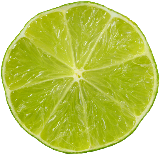 Lime Slice - Lime Slice (550x535)
