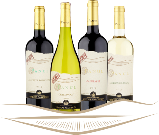 O Marce - Wine Bottle (533x452)